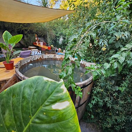La Araucaria Cabana Con Tinaja San Felipe Kültér fotó