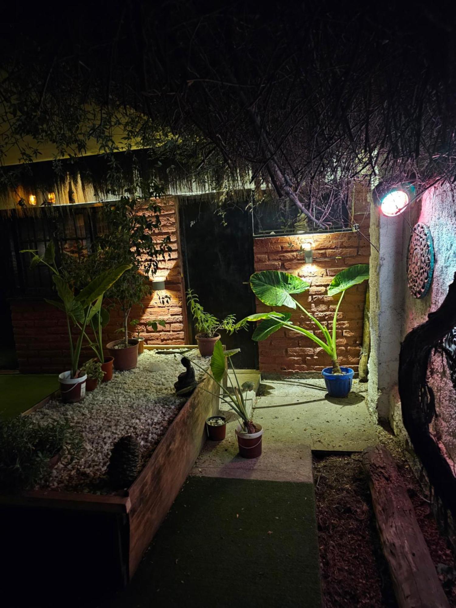 La Araucaria Cabana Con Tinaja San Felipe Kültér fotó